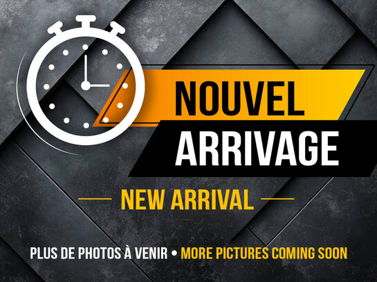 Ford EcoSport 2020 2020 Rouge Ford EcoSport 2020 2020 Rouge