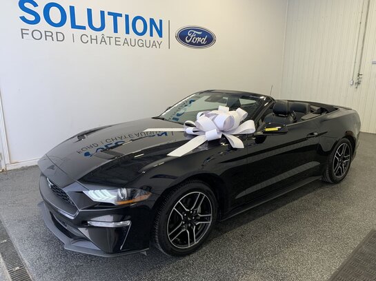 Ford Mustang 2022 2022 Noir Ford Mustang 2022 2022 Noir