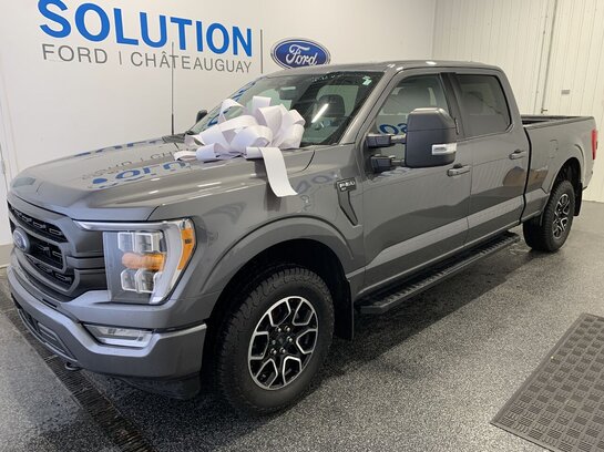 Ford F-150 2021 2021 Gris